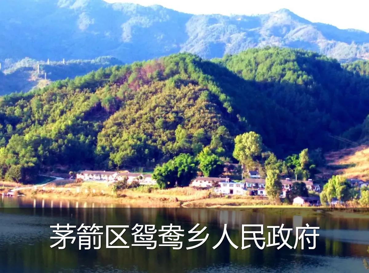 茅箭区鸳鸯乡人民政府